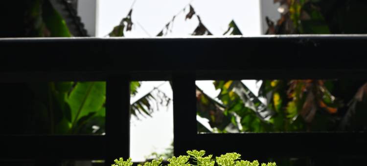 新华联铜官窑古镇月上客栈图片