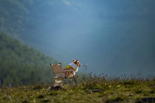 隐逸·了凡山居 Boutique Inn·观景禅院别院(五台山景区店)图片