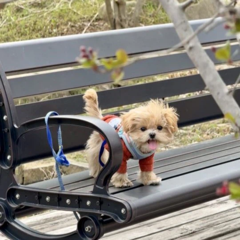 大乐之野(安吉桃花源店)图片