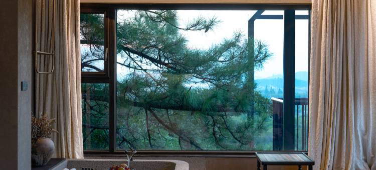 余姚竹语澜山酒店图片