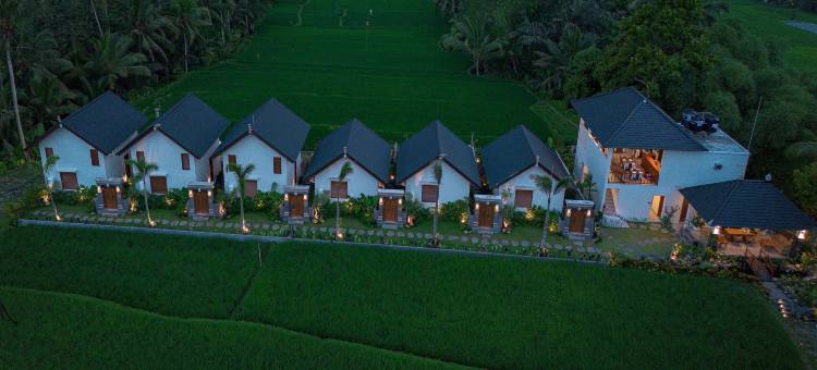 乌布阿斯卡亚(Ascarya Ubud)图片