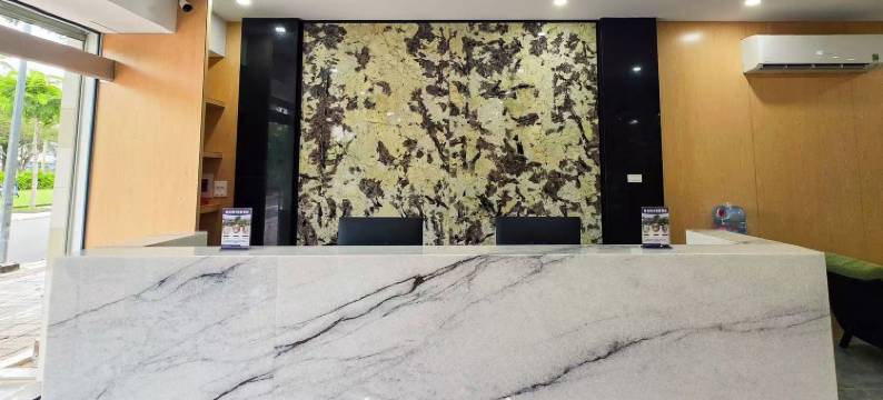 新加坡2别墅酒店(SINGAPORE 2 VILLA HOTEL)图片