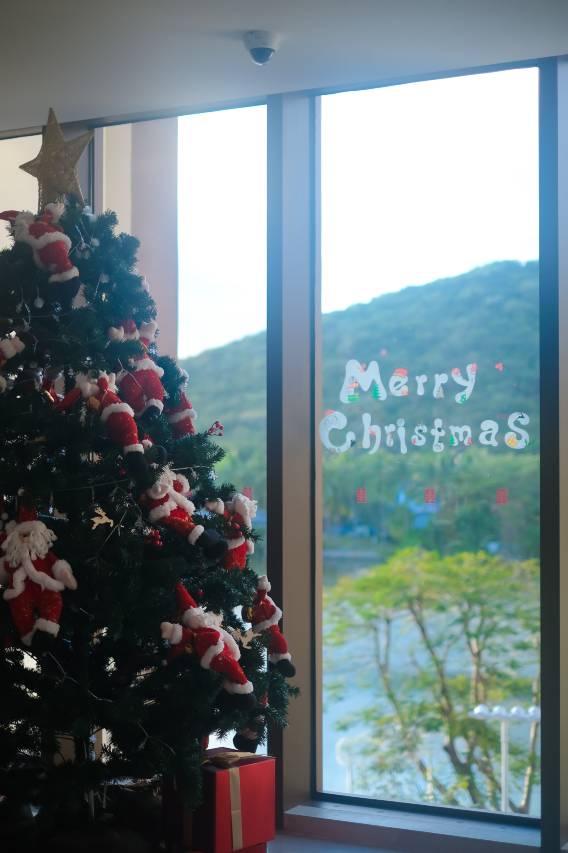 三亚亚龙湾星华套房假日酒店图片