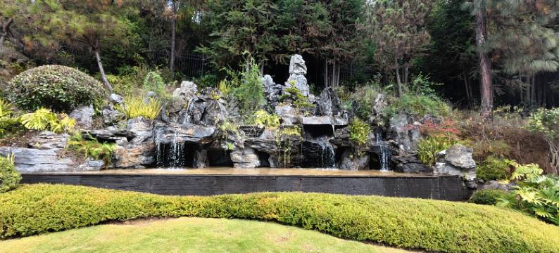 唐缘·拾光民宿图片