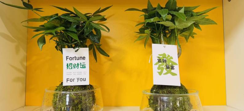 無二(广州北京路步行街公园前地铁站店)图片