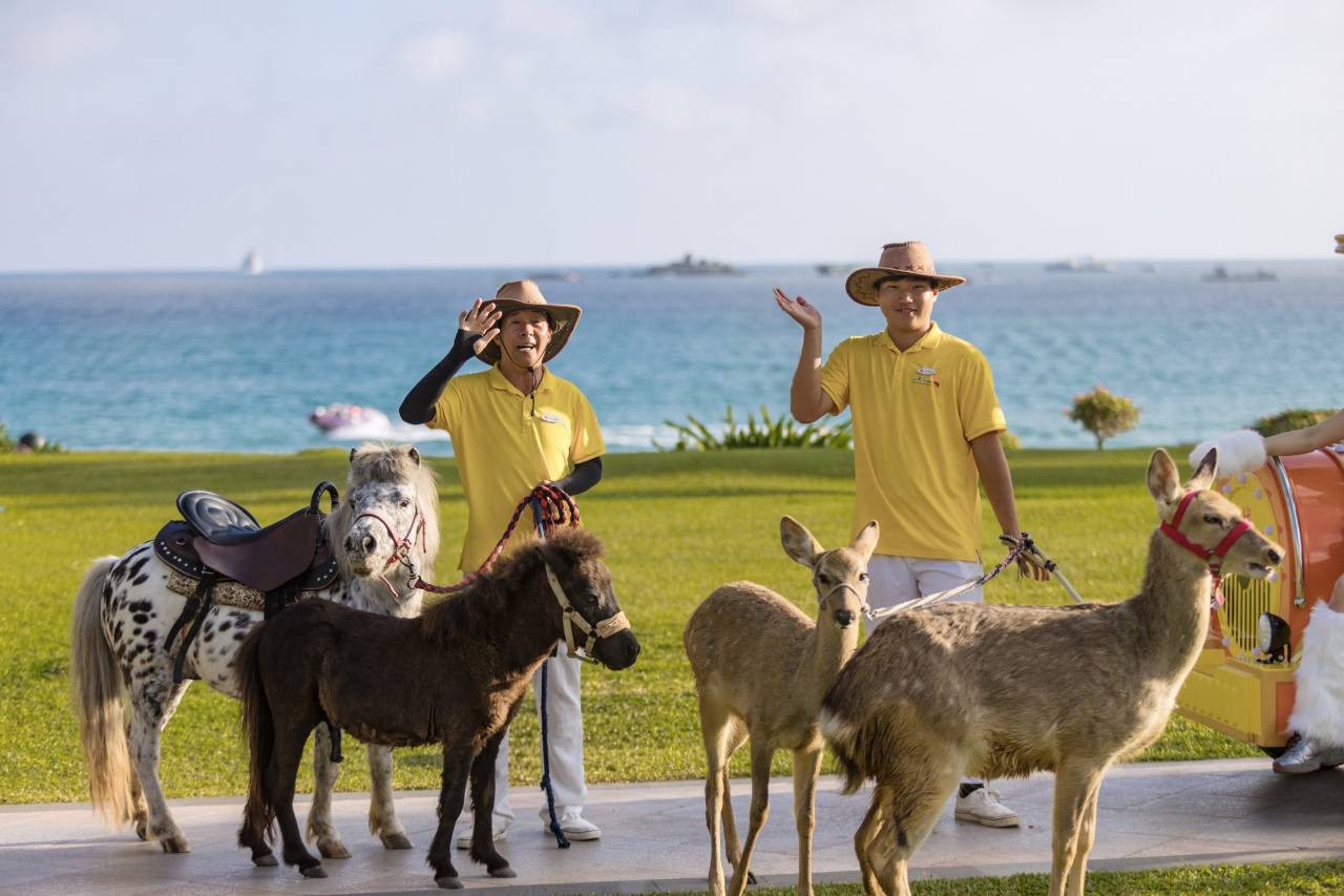 三亚亚龙湾天域度假酒店图片