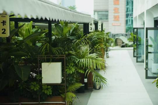 成都文殊坊春熙路逸扉酒店图片