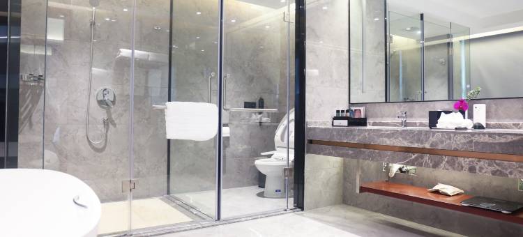 长沙中维神农大酒店图片