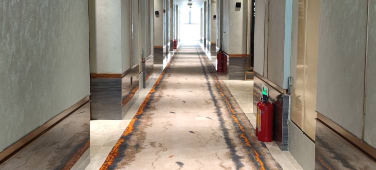 中州国际酒店(三亚湾凤凰机场店)图片