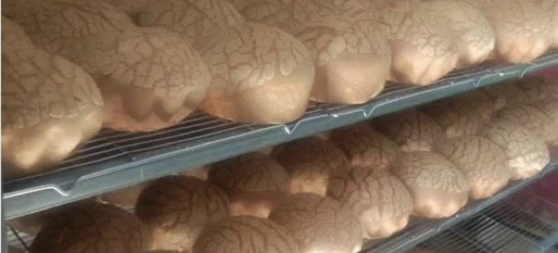 额尔古纳奔鸟如家图片