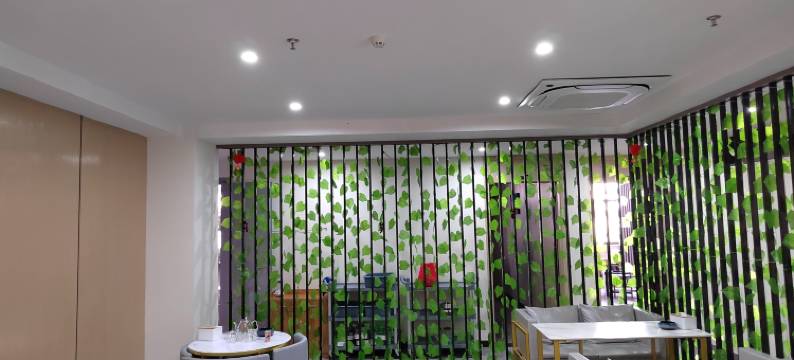 铜陵天海一色酒店(北斗星城店)图片