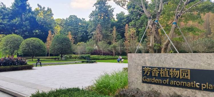悦梦居民宿(华润万象城凤凰池地铁站店)图片