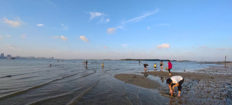 湛江特呈岛小岛民宿图片