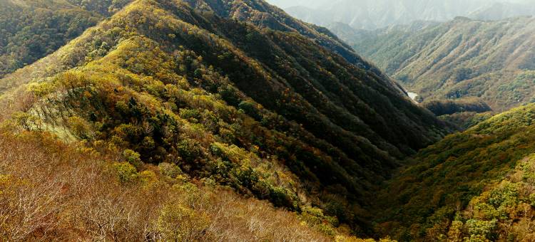 栃木日光万枫酒店­­(Fairfield by Marriott Tochigi Nikko)图片