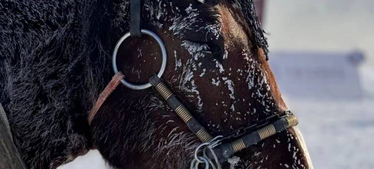 丽洁客栈(雾凇岛景区店)图片