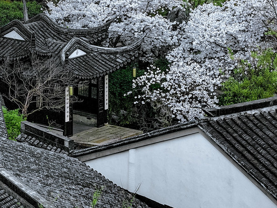 无锡巡塘书香府邸酒店