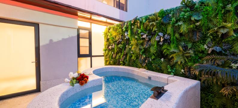 栾川云阙温泉酒店(老君山云景索道店)图片