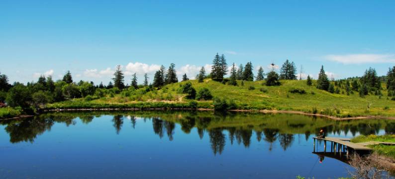 乌兰布统苏木瑞枫山居民宿(赤峰克什克腾旗乌兰布统草原景区店)图片