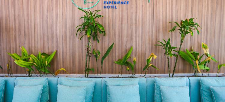 尤罗萨鲁水疗酒店(Eurosalou & Spa)图片