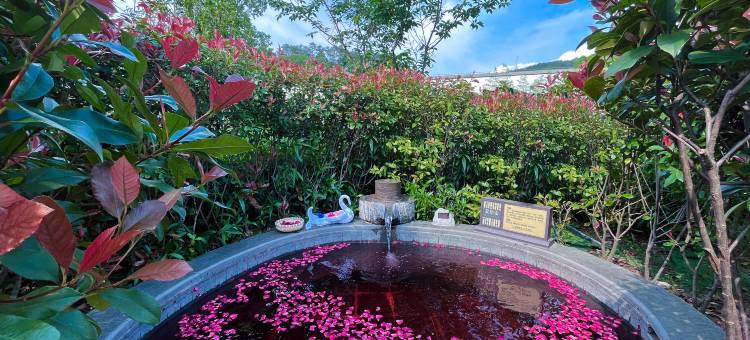 韶关丹霞丰源温泉酒店图片