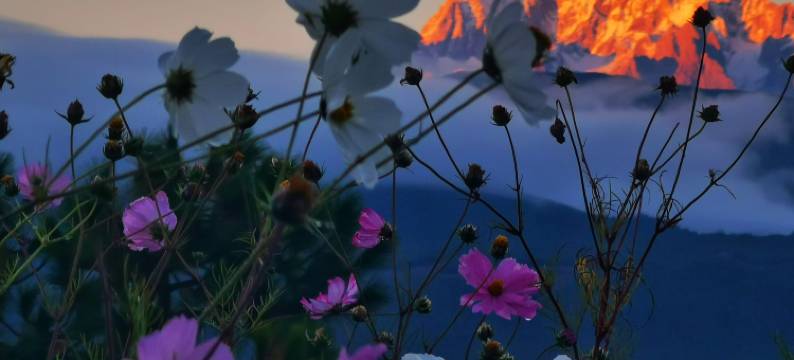 丽江束河玥色溪畔花园客栈图片