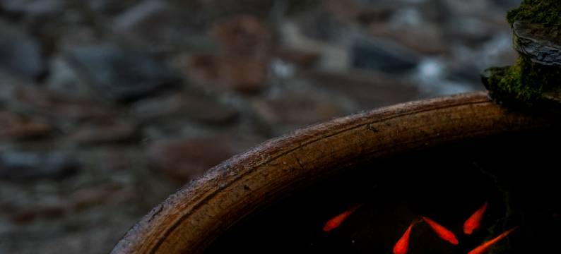 泾溪水镇梦乡村民宿图片