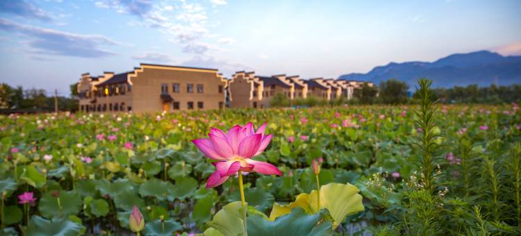 悦荷·百亩荷塘亲子度假民宿图片