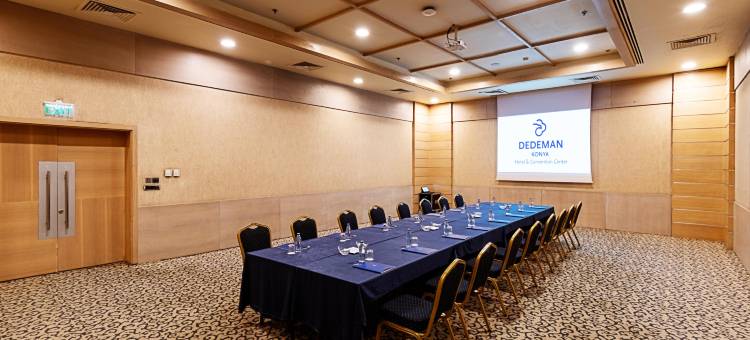 德德曼科尼亚酒店及会议中心(Dedeman Konya Hotel Convention Center)图片