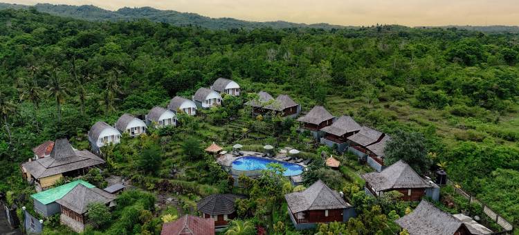 克莱普丛林度假村(The Kleep Jungle Resort)图片