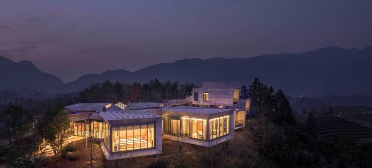 丽水遂昌乐领万亩茶海庄园图片