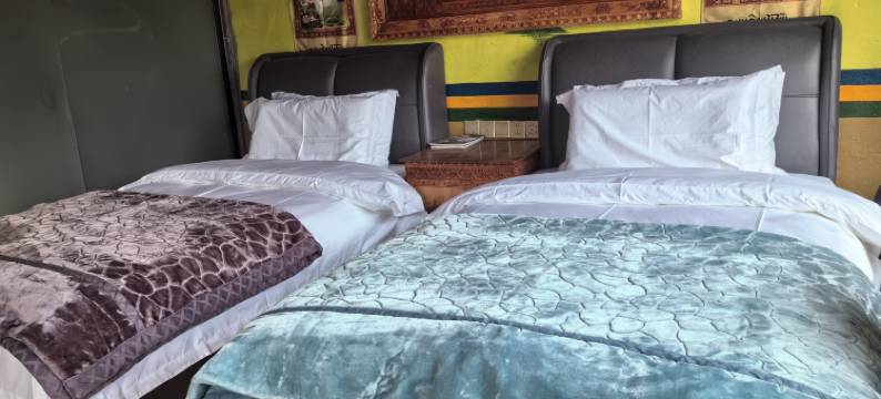 工布江达德乐康桑驿站图片