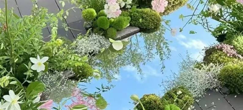 郑州丰乐园大酒店(河南省博物院店)图片