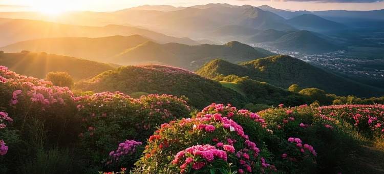 黔花之筑·巨幕轻奢花海酒店(黔西高铁站步行街店)图片