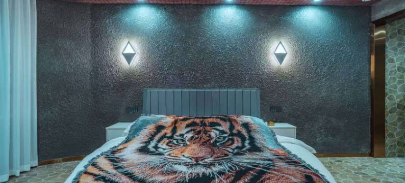 艾美多主题酒店图片