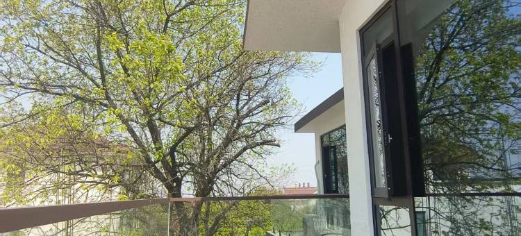 杏花院子民宿图片