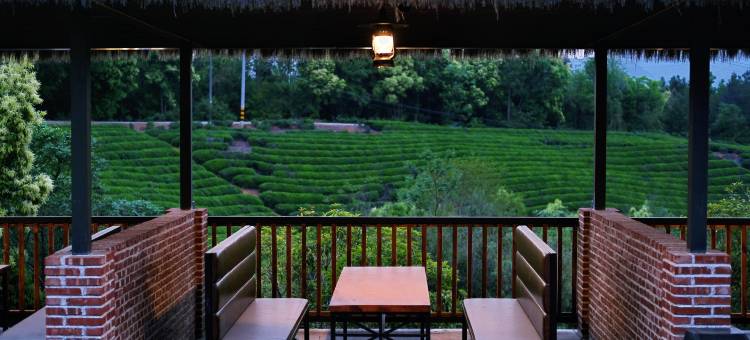 述野·隐世野奢度假营地(崇阳店)图片