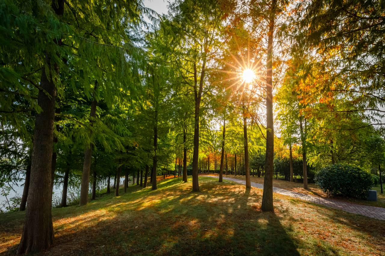 义乌幸福湖国际会议中心图片