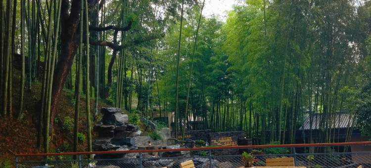 庐山君竹雅庐民宿(东林大佛店)图片