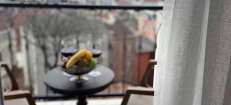 伊斯坦布尔梅罗迪拉波塔酒(Meroddi La Porta Hotel)图片