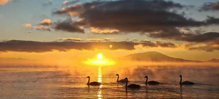 奎屯丽呈酒店(驿马巷旅游文化街区市政府店)图片