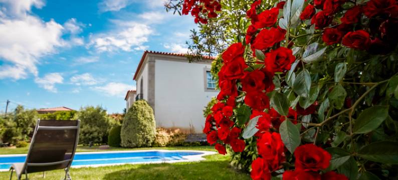 尼诺特拉米尼奥乡村民宿(Rinoterra Minho)图片