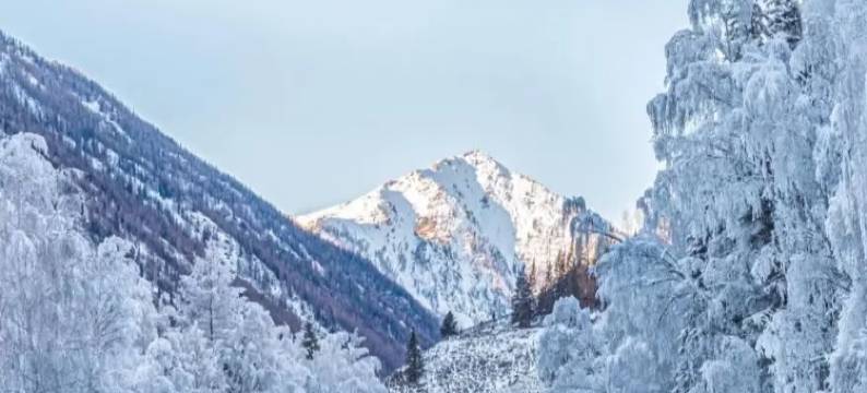 不如野·奢·林时有事Forest设计师度假民宿(喀纳斯景区店)图片