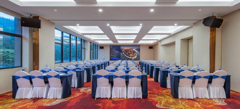 维也纳酒店(深圳龙珠店)图片