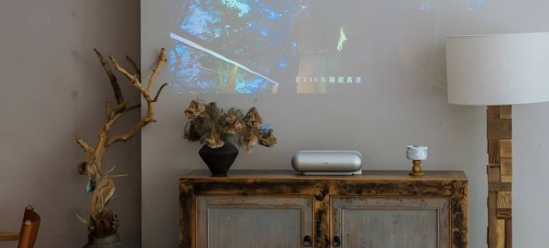 武汉樾和林泉白玉兰民宿图片