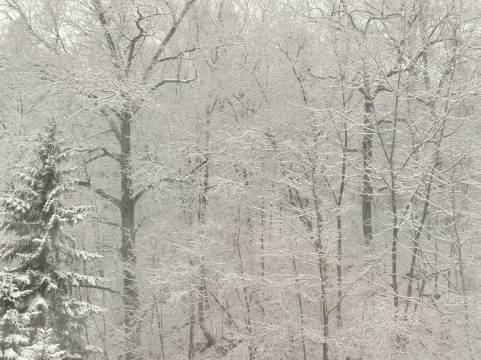 长白山松涧小隐民宿( 长白山北景区集散中心店)图片