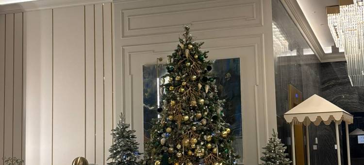 莫斯科万豪帝国广场酒店(Moscow Marriott Imperial Plaza Hotel)图片