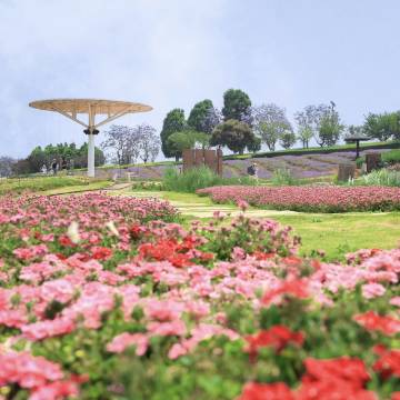 弥勒汶慧轩文化酒店(东风韵景区)图片