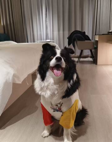 兰庭·瑞希酒店(罗布林广场店)图片