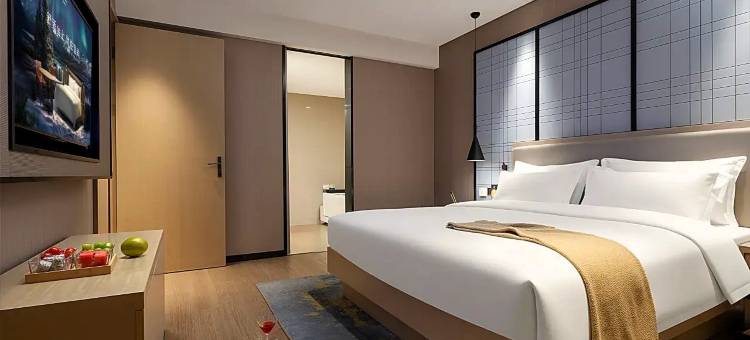 宜尚酒店(成都宽窄巷子金仙桥店)图片