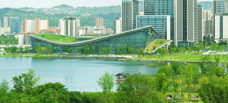 成都东安湖木棉花·凯悦臻选酒店图片